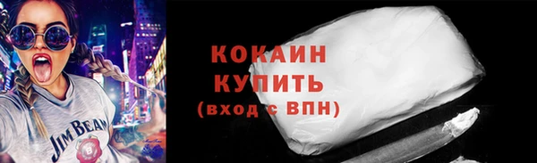 гашик Снежногорск