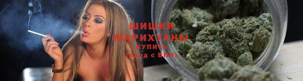 тгк Коряжма