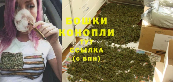 дживик Корсаков