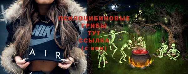 дживик Корсаков