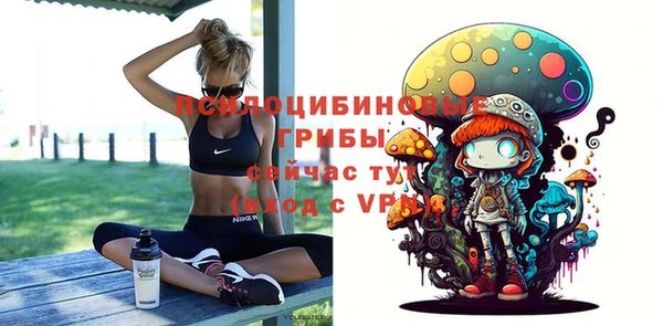 дживик Корсаков