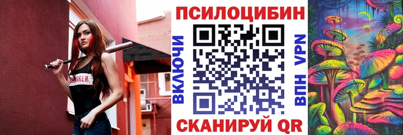 Купить закладки  Балей  Псилоцибиновые грибы Cubensis 